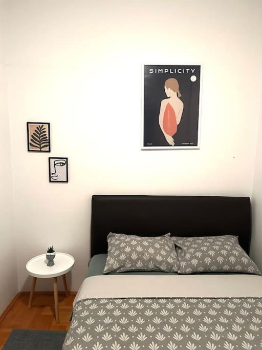 Cozy, Charming One Bedroom Apt Podgorica Kültér fotó