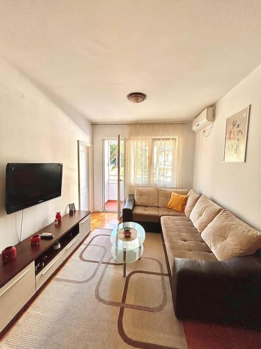 Cozy, Charming One Bedroom Apt Podgorica Kültér fotó