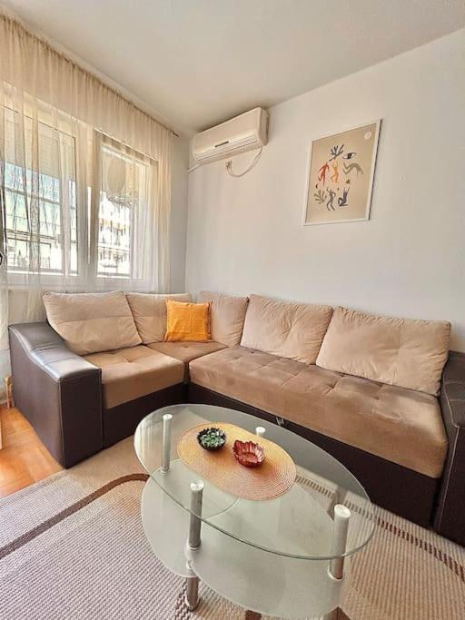 Cozy, Charming One Bedroom Apt Podgorica Kültér fotó