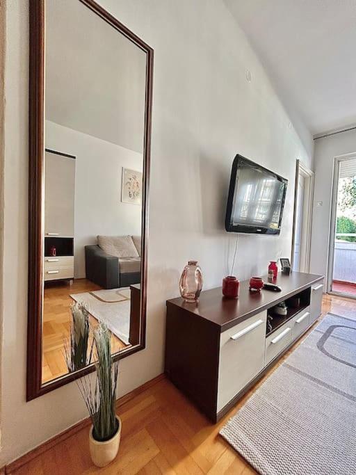 Cozy, Charming One Bedroom Apt Podgorica Kültér fotó